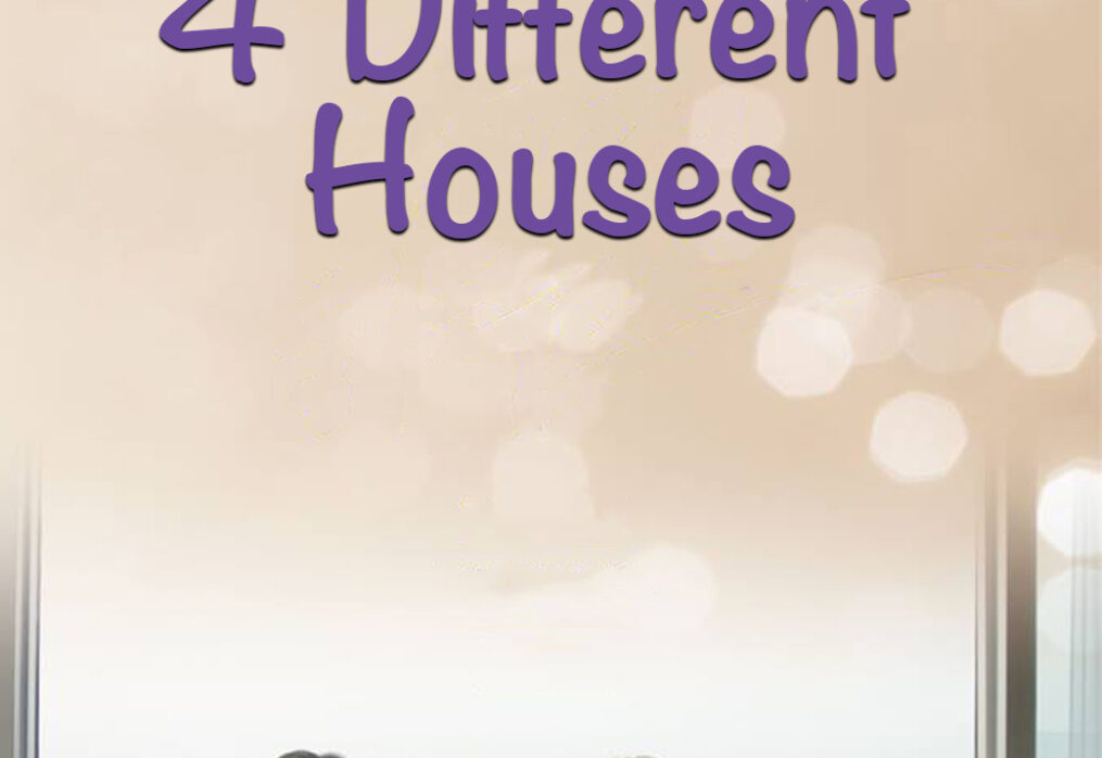 4 Different Houses